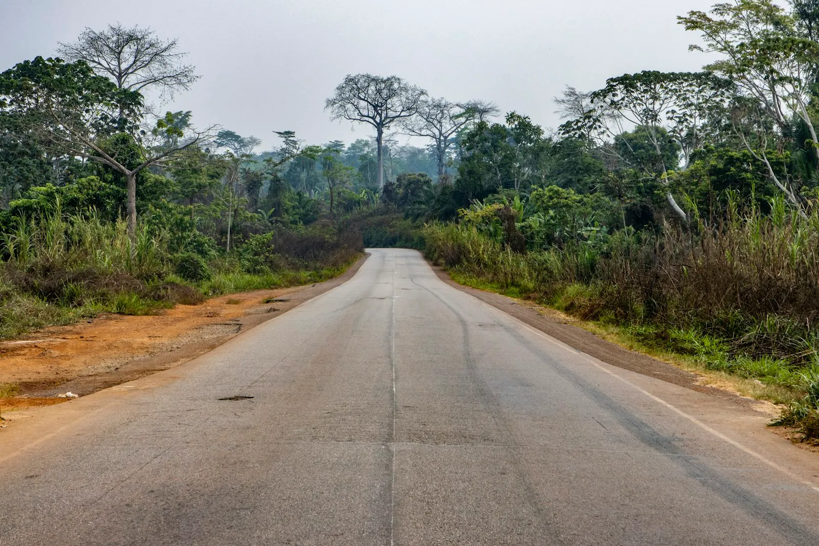 Bafang Cacao — plateforme de filière